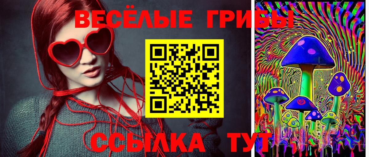 Галлюциногенные грибы мухоморы  Галлюциногенные грибы мицелий  Сокол  Вход с VPN 