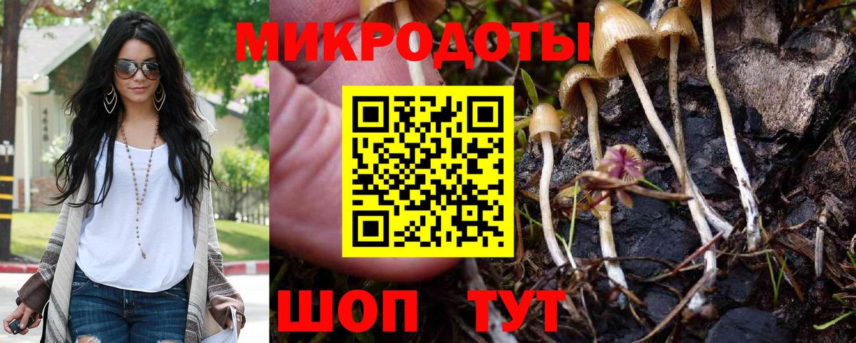 Галлюциногенные грибы MAGIC MUSHROOMS Сокол